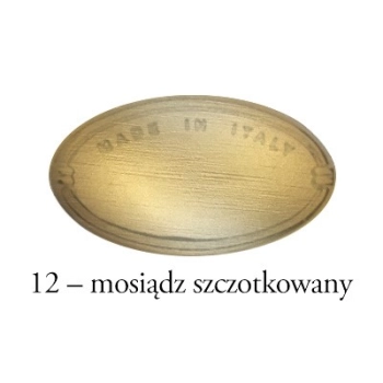 UCHWYT Meblowy MUSZELKA Duża 95x38 Rączka Mosiądz Szczotkowany L-64 mm