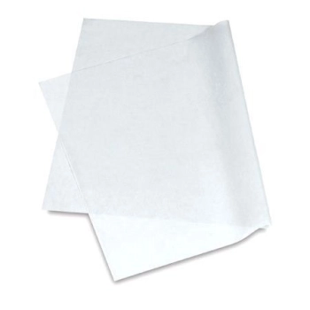 PAPIER SILIKONOWY OBUSTRONNY 120G/M2 – B02029