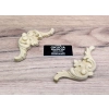 DEKOR 115x50 mm Ornament Ozdobny Dekoracyjny Sztukateria Pył Drzewny DIY